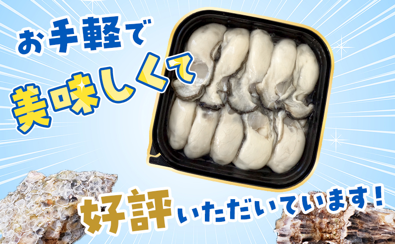 【 4ヵ月 定期便 】牡蠣 北海道 厚岸産 牡蠣むいちゃいました！ 生食用 500g (各回500g×4ヶ月分,合計2kg)