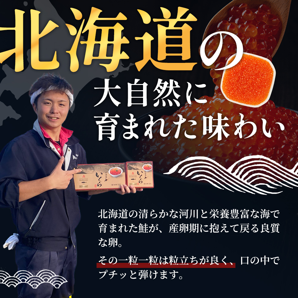 北海道産 いくら 醤油漬け 200g 魚貝類 魚卵 いくら醤油漬け 