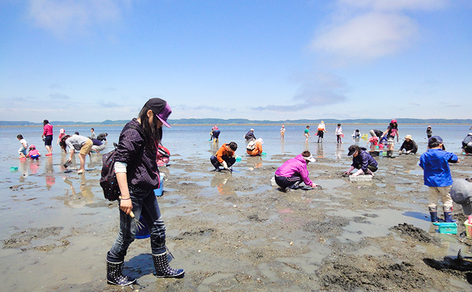 厚岸「あさり掘り」潮干狩り 2名様 体験チケット（お土産付き）