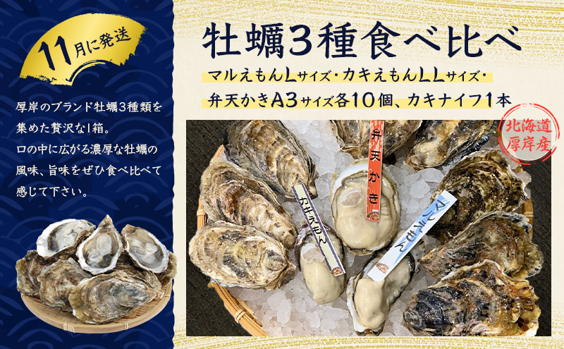 厚岸の魅力大集合 季節 定期便 全5回お届け 牡蠣 蟹 海老 ホタテ 昆布巻