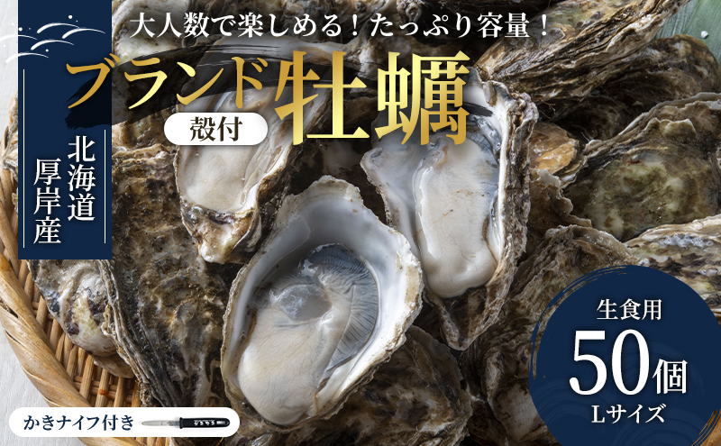 パーティー用　北海道厚岸産牡蠣　Lサイズ50個入（目安：10人前）