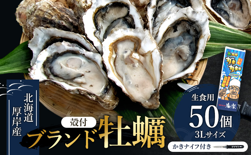 北の海のミルク！厚岸産 牡蠣 3Lサイズが50個！ 生食用
