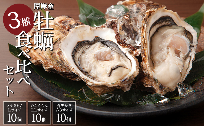 北海道 牡蠣 3種 食べ比べ セット 厚岸オイスター★オールスターズ 生食