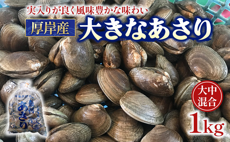 あさり 漁師から直で仕入れ！厚岸産の大きなあさり 1kg