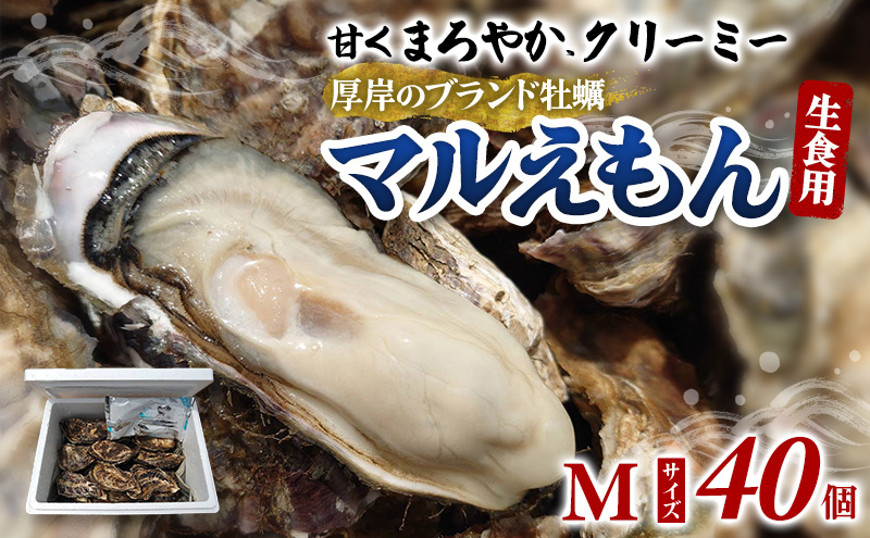 牡蠣 厚岸のブランド牡蠣 マルえもん Mサイズ 40個 生食用