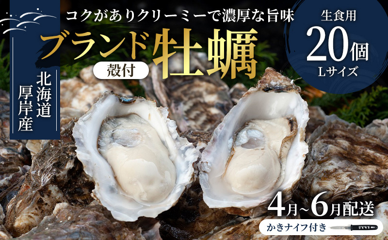 2026年4月～6月配送 厚岸産　殻付カキ Lサイズ20個（生食用）牡蠣 魚貝類 海鮮 海の幸 生食用牡蠣 オイスター 厚岸産生牡蠣 マルえもん