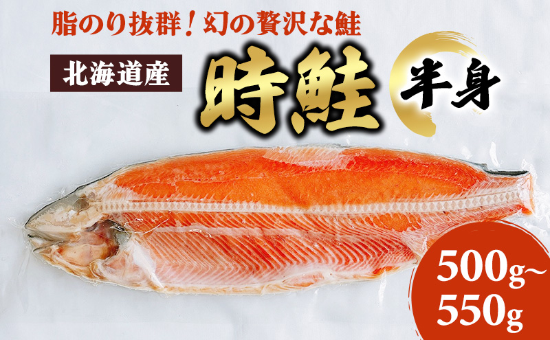 北海道産 時鮭 半身 500g～550g 鮭 さけ シャケ 魚 甘塩 冷凍 半身加工 旬