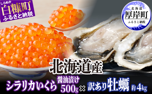 北海道 厚岸産 牡蠣 約4kg 訳あり × 北海道産 シラリカいくら 【醤油漬け】 500g (250g×2)  海鮮 セット いくら イクラ 牡蠣 生牡蠣 カキ 殻付き 海鮮 生食用 海鮮 海鮮丼 魚介 貝 厚岸町 白糠町