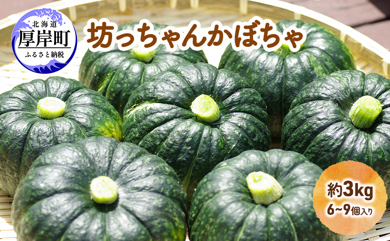 厚岸ハスカ 坊ちゃんかぼちゃ 約3kg（6～9個入り） 野菜 味が濃い 甘い 北海道産 北海道かぼちゃ パンプキン
