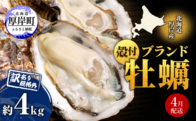 ４月発送 訳あり 牡蠣 北海道厚岸産 殻付カキ 約4kg (25から50個) カキナイフ付 生食 生牡蠣 貝付き牡蠣 貝 海鮮 魚介類 殻付き牡蠣 マルえもん