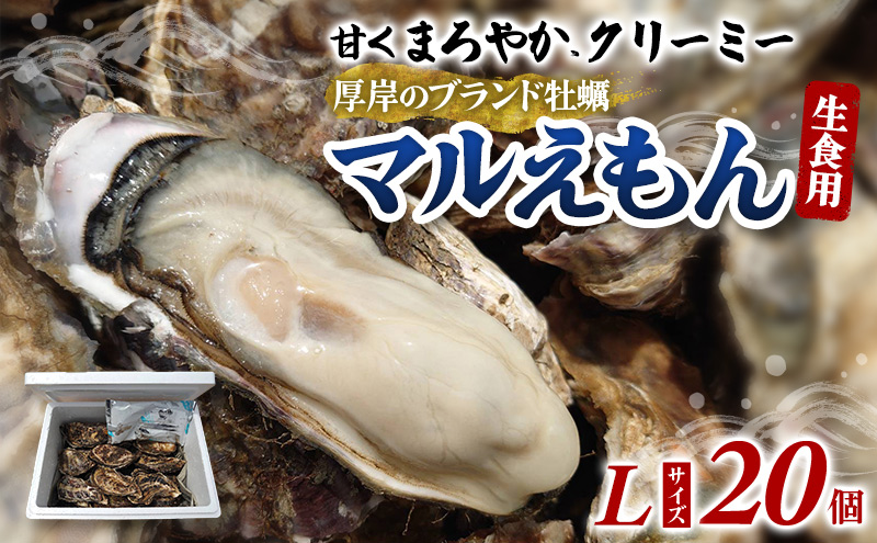 牡蠣 厚岸のブランド牡蠣 マルえもん Lサイズ 20個 生食用
