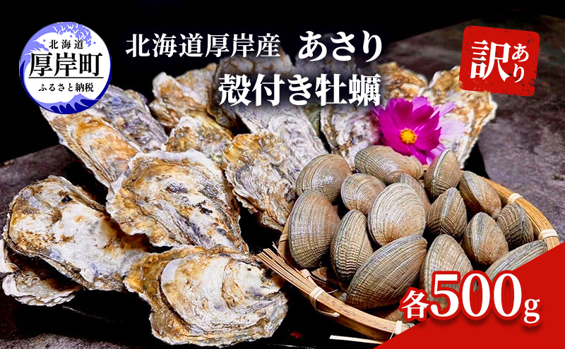 訳あり 北海道 厚岸産 あさり 殻付き牡蠣 各500g