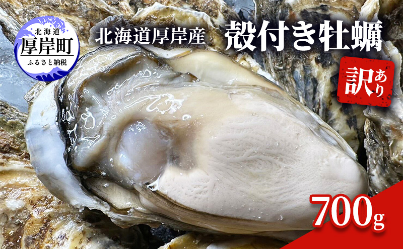 訳あり 北海道 厚岸産 殻付き 牡蠣 700g