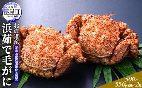 北海道産 浜茹で 毛がに（500～550g前後）2尾