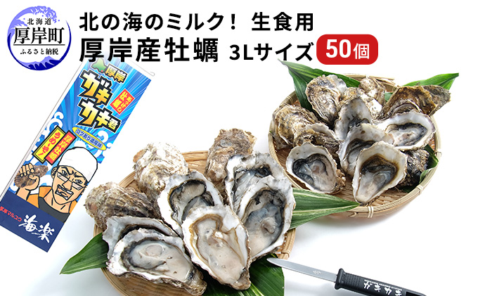 北の海のミルク！厚岸産 牡蠣 3Lサイズが50個！ 生食用