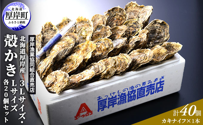 厚岸産 殻かき 3L 20個・L 20個セット (合計40個) 北海道 牡蠣 カキ かき 生食  魚介類