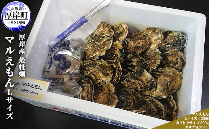 牡蠣 厚岸産 殻かき  あさり セット 生食 生牡蠣 貝付き牡蠣 貝 海鮮 魚介類 殻付き牡蠣
