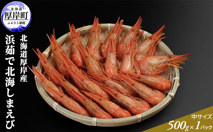 季節限定 北海道 厚岸産 浜茹で 北海しまえび（中サイズ）500g×1パック 海老