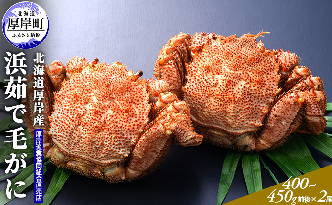 北海道産 浜茹で 毛がに（400～450g前後）2尾