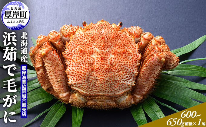 北海道産 浜茹で 毛がに（600～650g前後）1尾