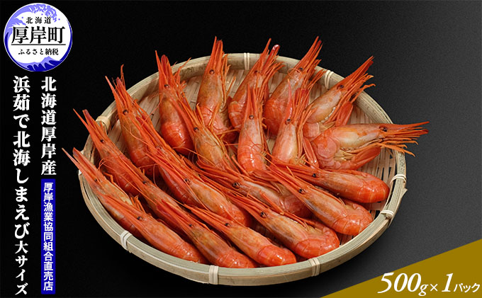 季節限定 北海道 厚岸産 浜茹で 北海しまえび（大サイズ）500g×1パック 海老