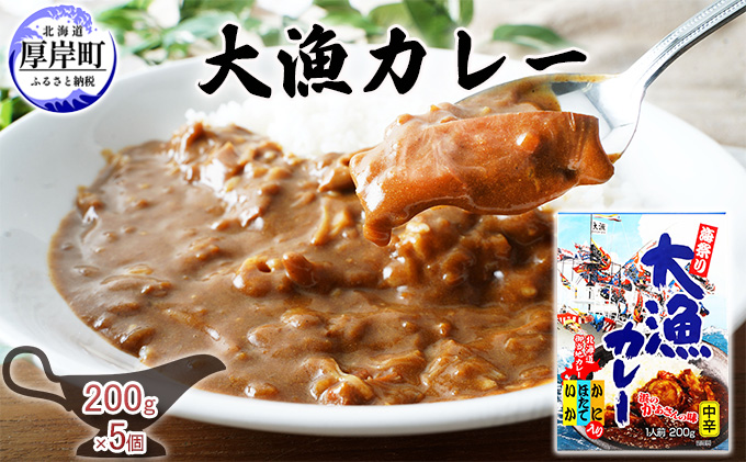 大漁カレー 200g×5個 (合計1kg入) カレー レトルト