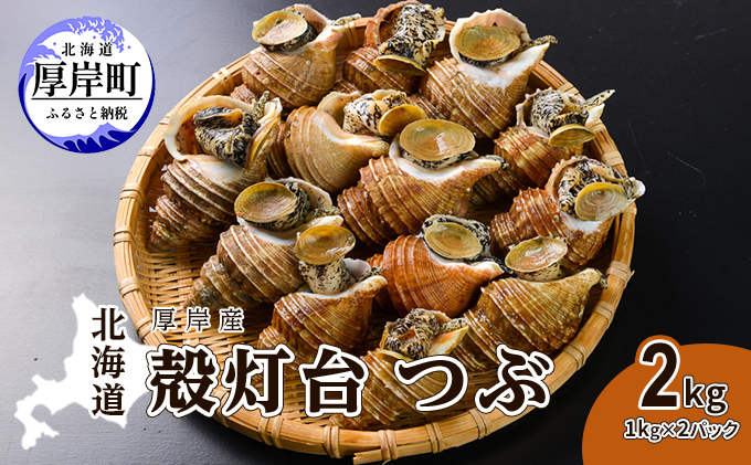 先行受付 北海道 厚岸産 殻灯台 つぶ 2kg（1kg×2パック） 魚介類 海の幸 海産物 海鮮 貝 つぶ貝 希少 下処理不要 刺身 塩茹で お酒のあて つまみ 国産 北海道産