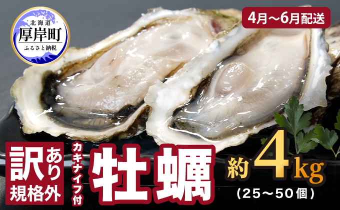 ふるさと納税 さぬき市 【訳あり】不揃い殻付き牡蠣4kg(約60-80個