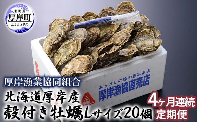[ANA限定] 定期便 4ヶ月 北海道 厚岸産 牡蠣 Lサイズ 20個 (各回20個×4ヶ月分,合計80個) 殻付き 生食 カキナイフ付き かき カキ
