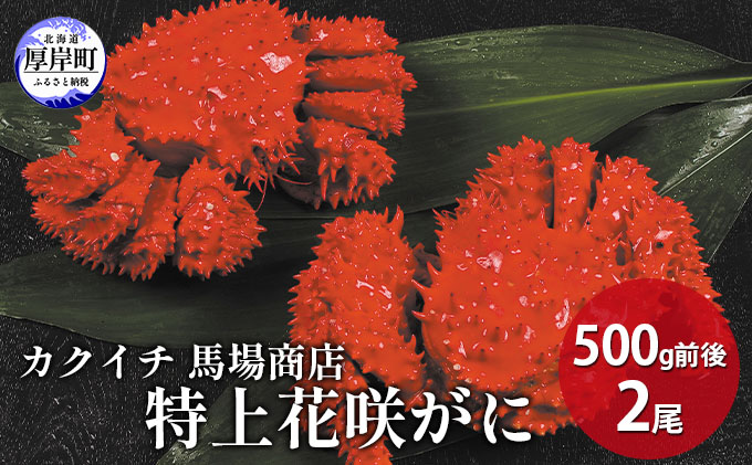 蟹屋厳選!年末 お正月 北海道厚岸産 特上花咲がに 500g前後×2尾