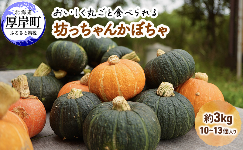 厚岸ハスカ 坊ちゃんかぼちゃ 約3kg(10〜13個入り)
