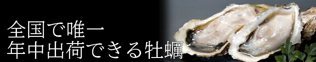 全国で唯一年中出荷できる牡蠣