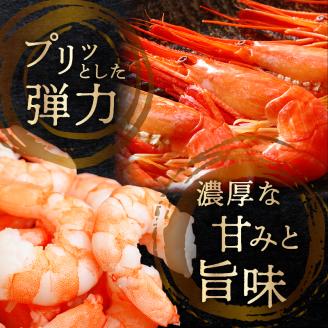 北海しまえび(大)　300g×1箱(13尾前後)_H0001-006