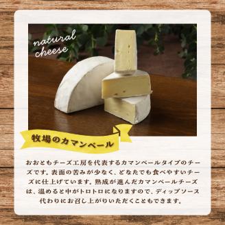 チーズ工房のナチュラルチーズ　牧場のカマンベール100g×2_H0003-010