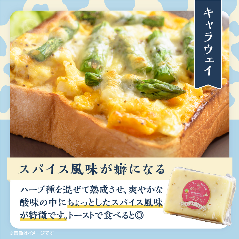 【おおともチーズ工房】セミハードチーズ2種セット(キャラウェイ・レクタン)_H0003-014