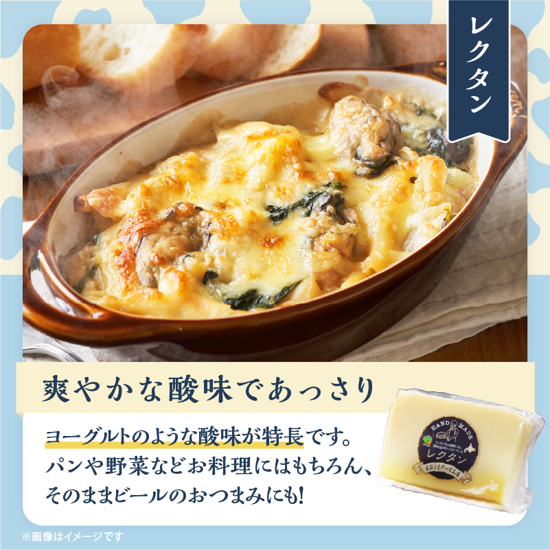【おおともチーズ工房】《創業時からの看板メニュー》セミハードチーズ「レクタン」4個_H0003-022