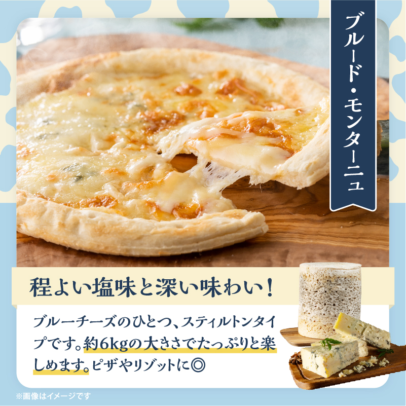 【おおともチーズ工房】《熟成庫から直送!!》業務用サイズのブルーチーズホール(1個あたり6kg)_H0003-036