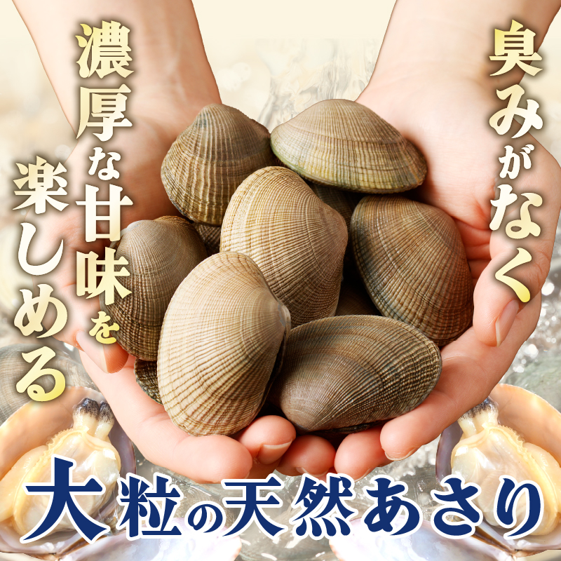 4月～6月発送分《先行予約・期間限定》浜中町産活あさり(500g×2袋セット)_H0023-029-02