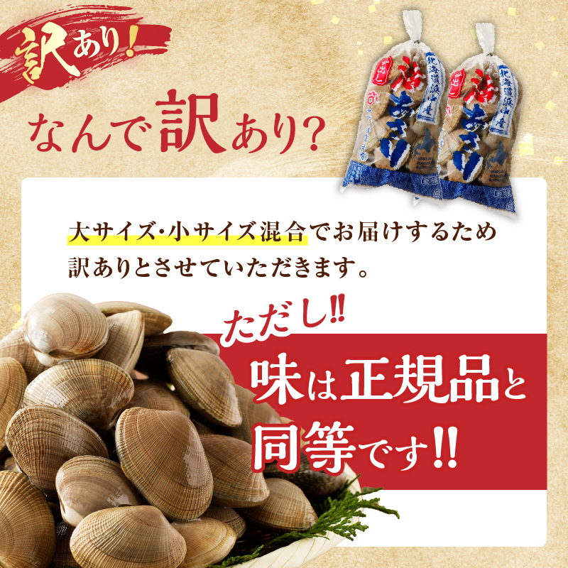 【訳あり】1月～3月発送分《先行予約・期間限定》浜中町産活あさり(500g×2袋セット)_H0023-048
