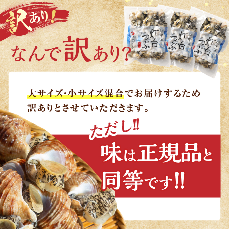 【訳あり】＜全3回・隔月＞灯台つぶ定期便【総重量2.7kg】_H0023-060