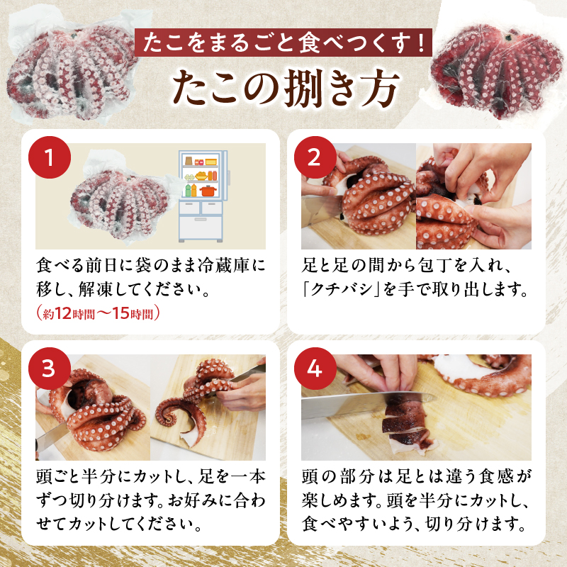 【令和8年3月発送分】浜ゆでたこ「まるたこ」たこ 一匹 一杯 刺身 海産物 魚介類 海鮮 北海道 _H0023-061-R803