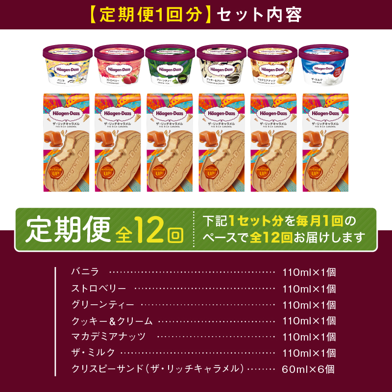 ＜全12回定期便・連続＞ハーゲンダッツ『ミニカップ＆クリスピーサンドセット(合計144個)』アイスクリーム アイス スイーツ デザート_H0026-043