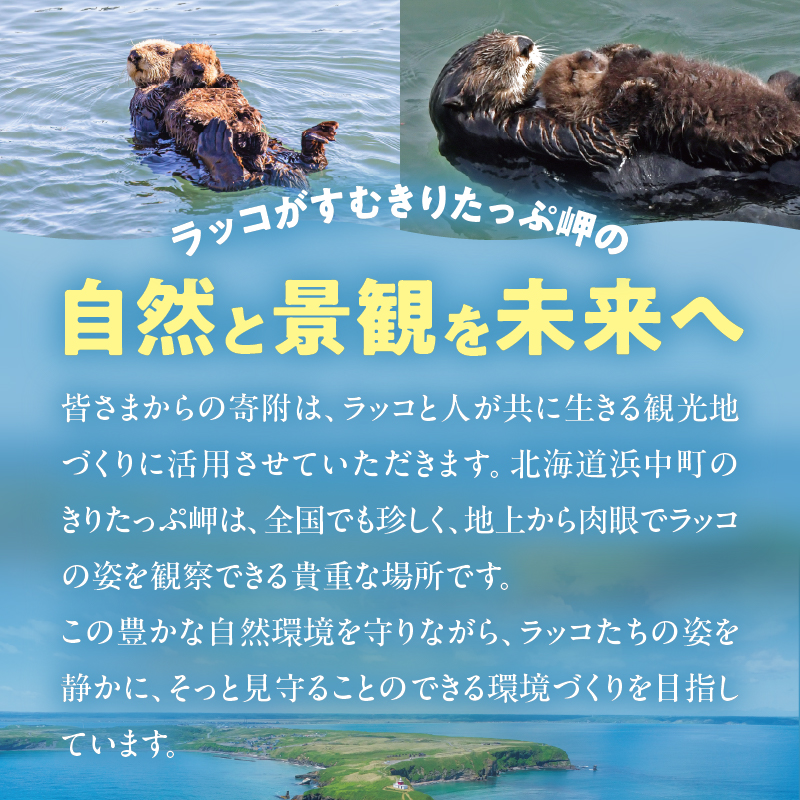 ラッコを見守る岬「きりたっぷ岬」周辺の環境整備　4000円分 返礼品なし_H0028-010