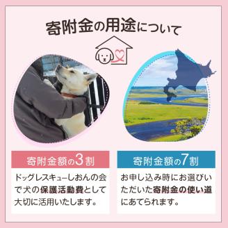 【野犬の保護活動】浜中町「ドッグレスキューしおんの会」を支援　30000円分 返礼品なし_H0039-007