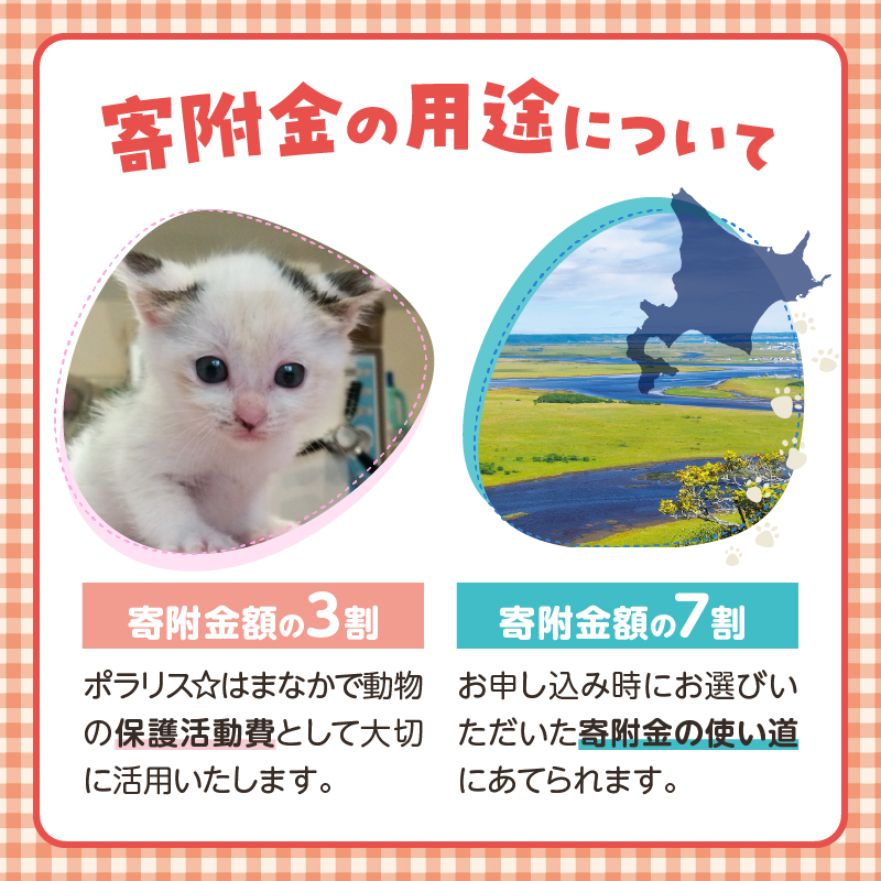 【動物愛護ボランティア】浜中町「ポラリス☆はまなか」を支援　1000円分 返礼品なし_H0048-001