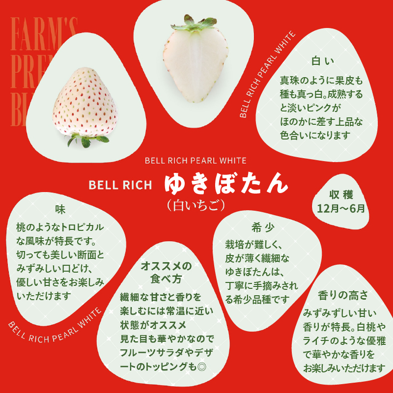 《数量限定》赤白いちごの贅沢食べ比べセット(合計2パック) BELL RICH_H0049-001