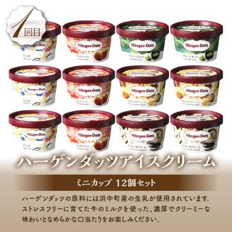 ＜全2回・連続＞北海道浜中町の人気スイーツお試し定期便 アイス スイーツ デザート_H0100-007