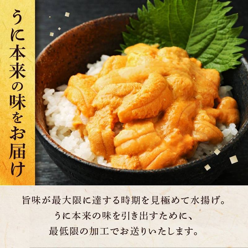 ≪氷温熟成≫生折うに(天然バフンウニ)　120g×1枚_110504