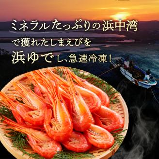 北海しまえび(大)　300g×2箱セット(1箱あたり13尾前後)_H0001-007