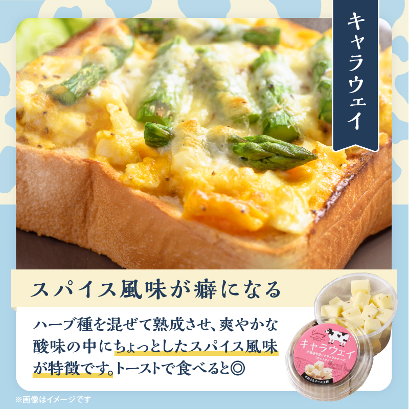 【おおともチーズ工房】《おつまみ＆お料理に!!》カットチーズ＆カチョカバロセット_H0003-020